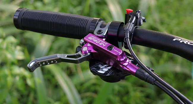 Elvedes Soldes 40 Elvedes Soldes -Elvedes Soldes 5f4df4ec e95a 4df1 8841 369a2d825976. CR00650350 PT0 SX650 V1